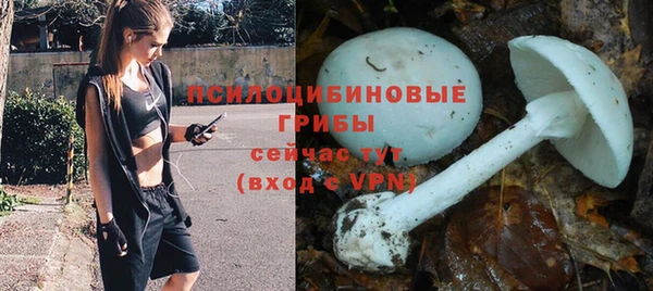 МДПВ Фурманов