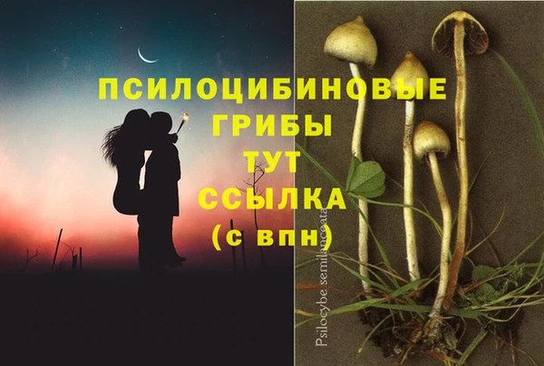 стафф Алзамай