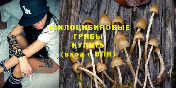 герыч Абаза